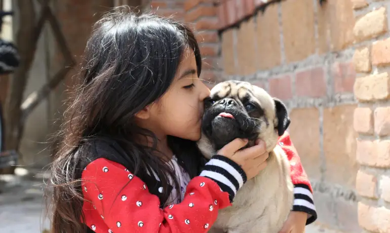 New Pet Owner in Bangladesh