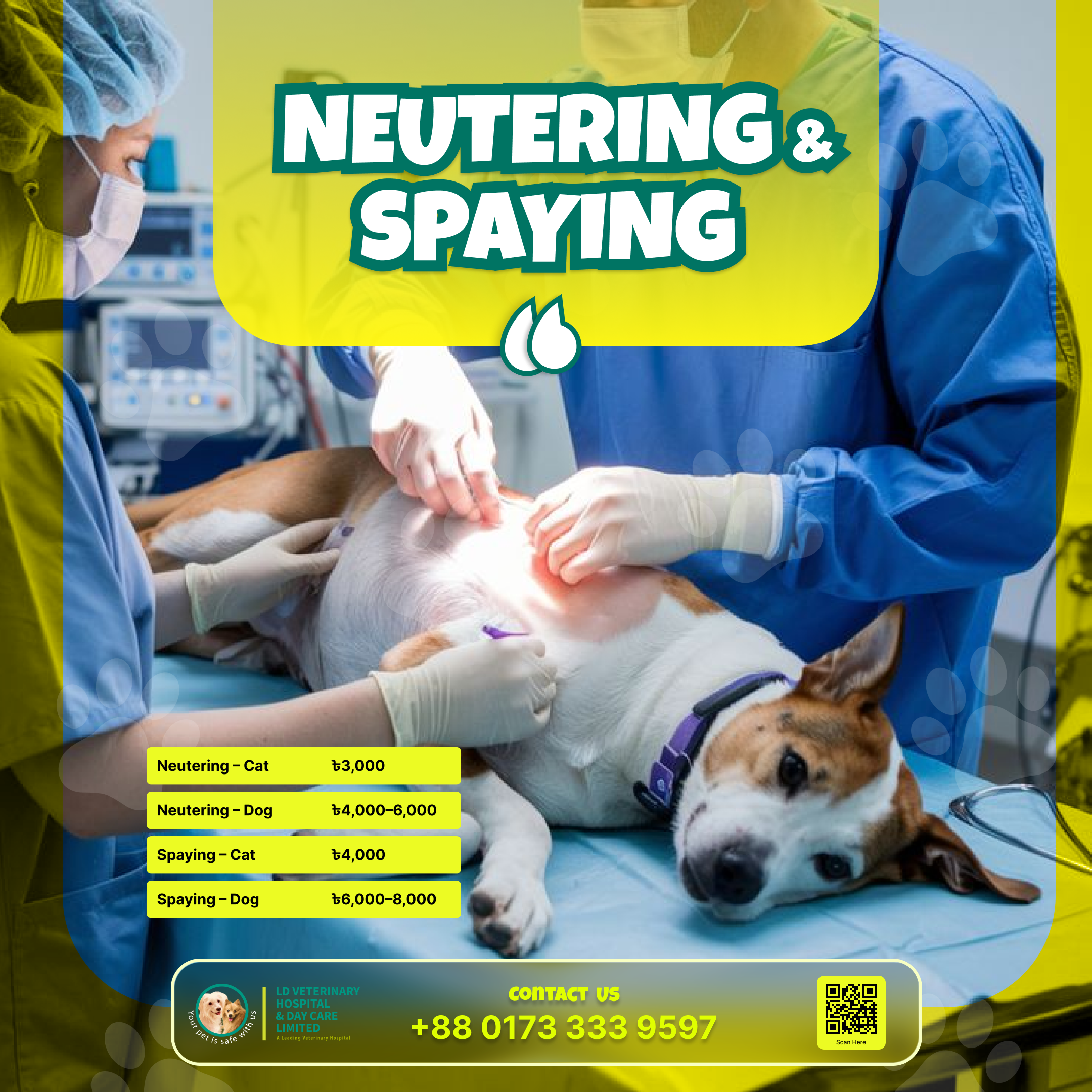 Pet Boarding, Daycare and Hotel Facilities (1)