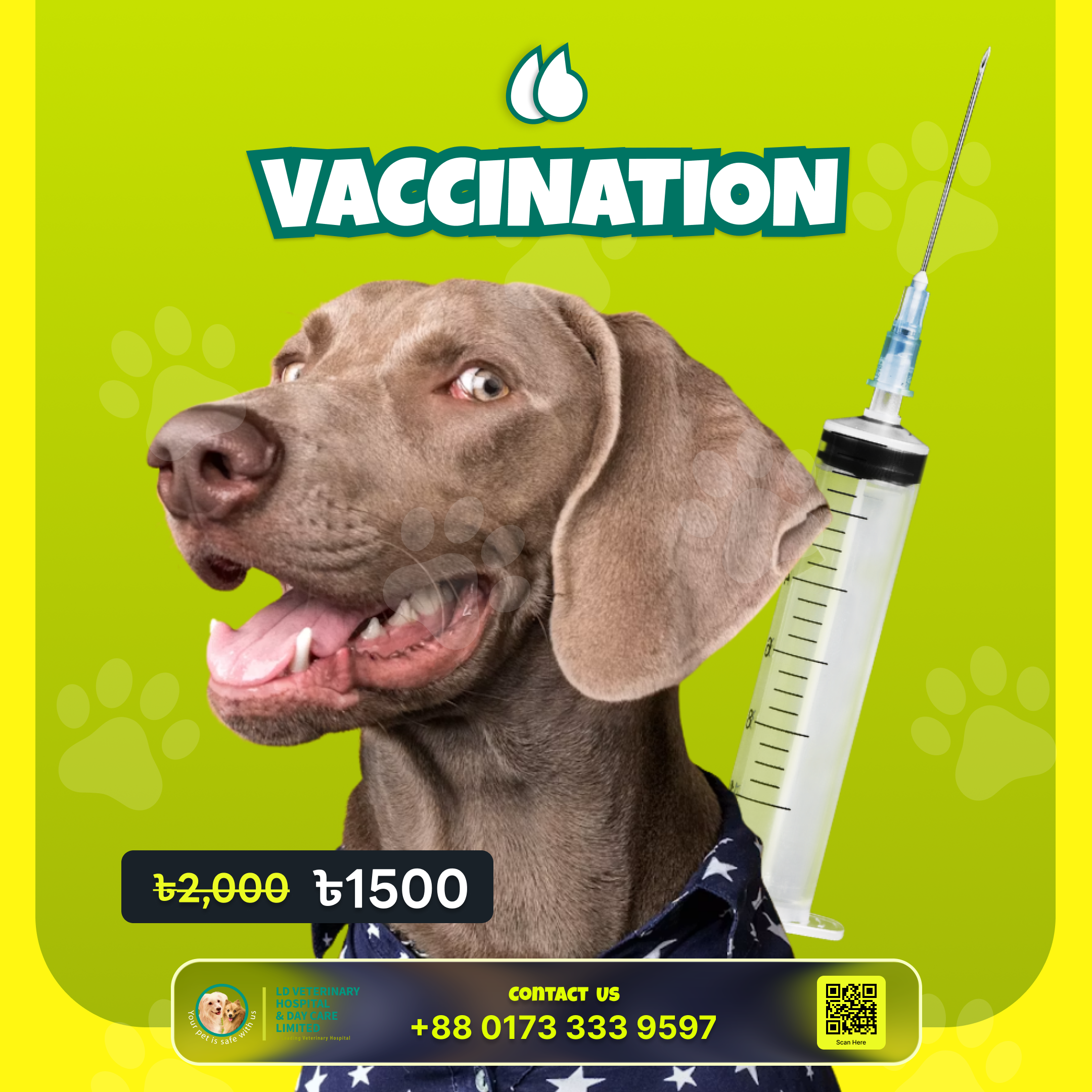 Pet Boarding, Daycare and Hotel Facilities-1