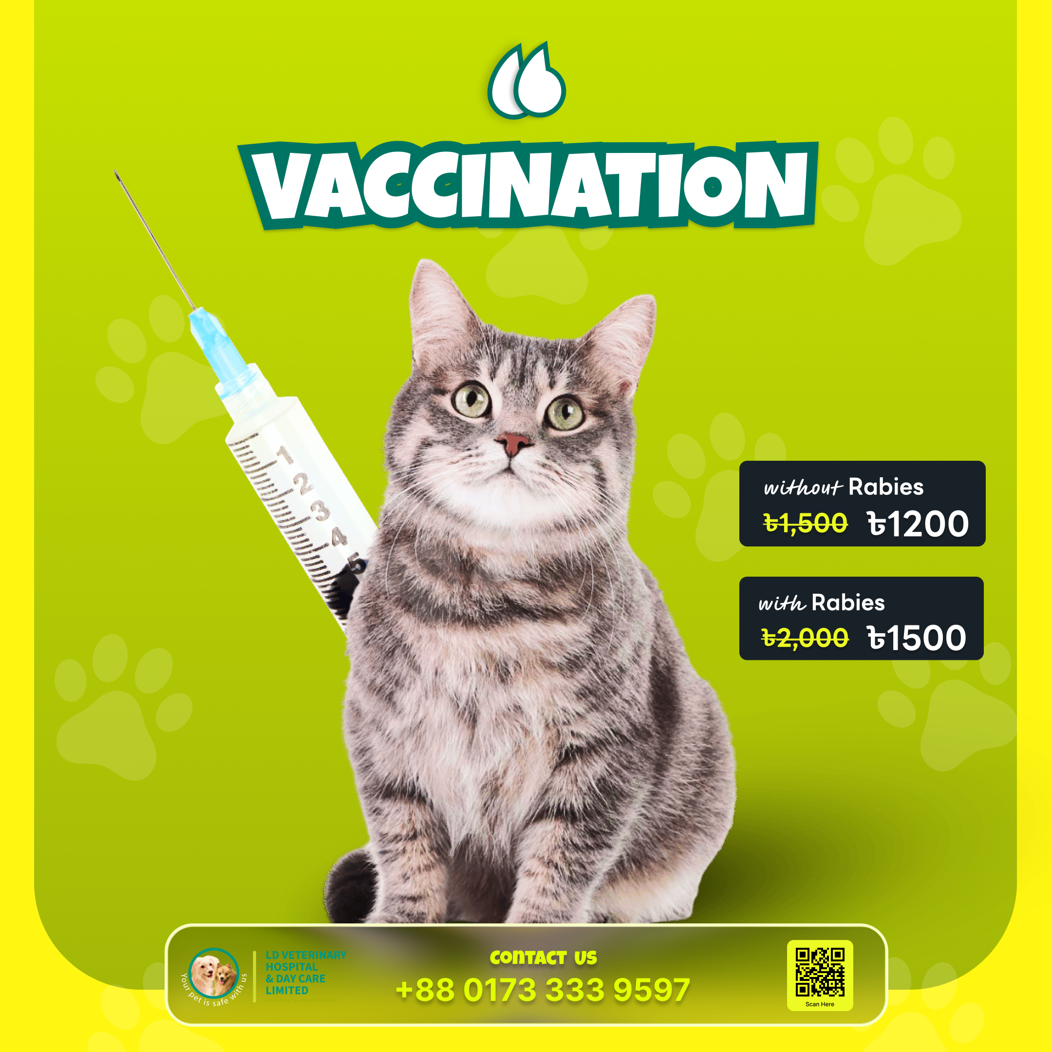 Pet Boarding, Daycare and Hotel Facilities (2)