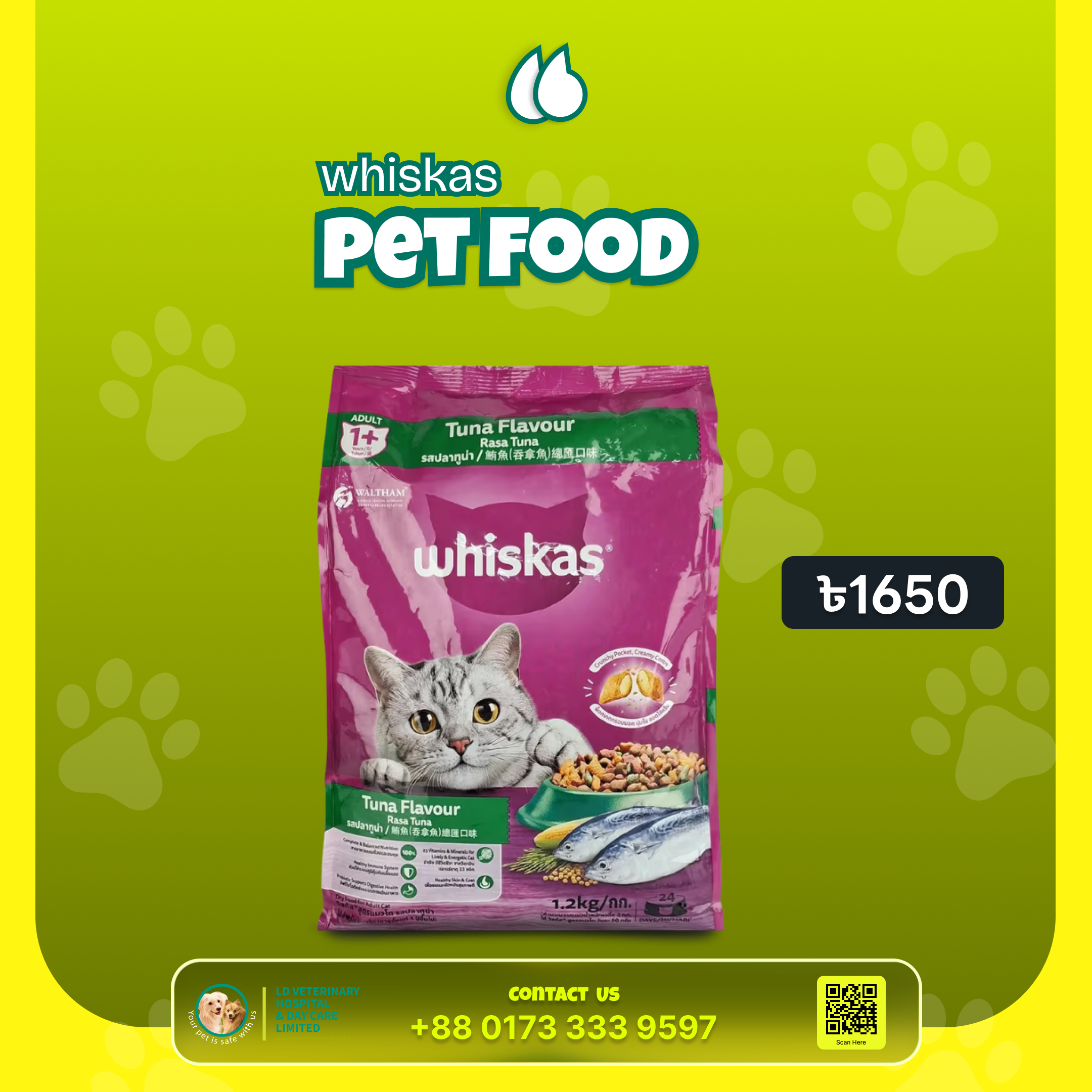Pet Boarding, Daycare and Hotel Facilities-3