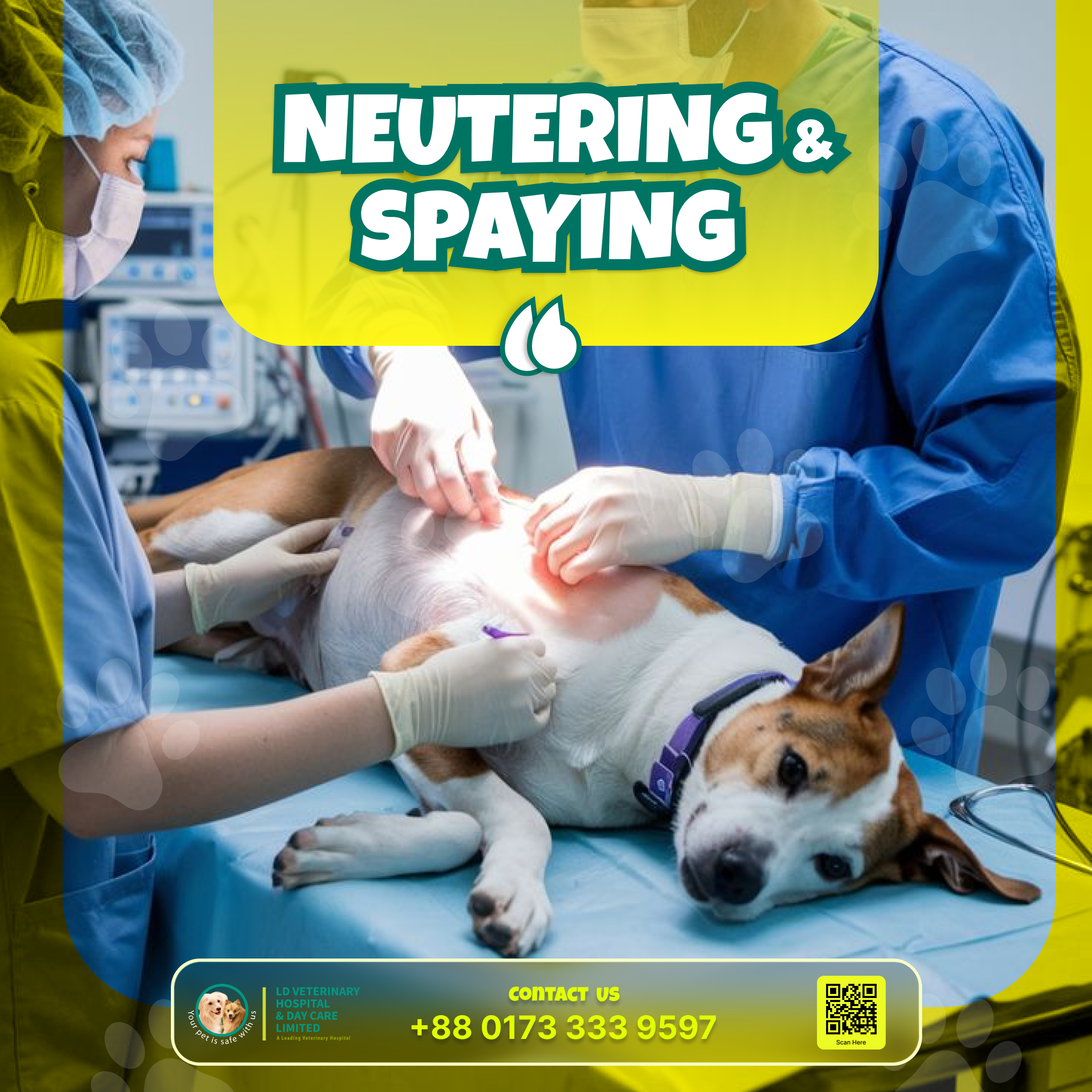 Pet Boarding, Daycare and Hotel Facilities-5