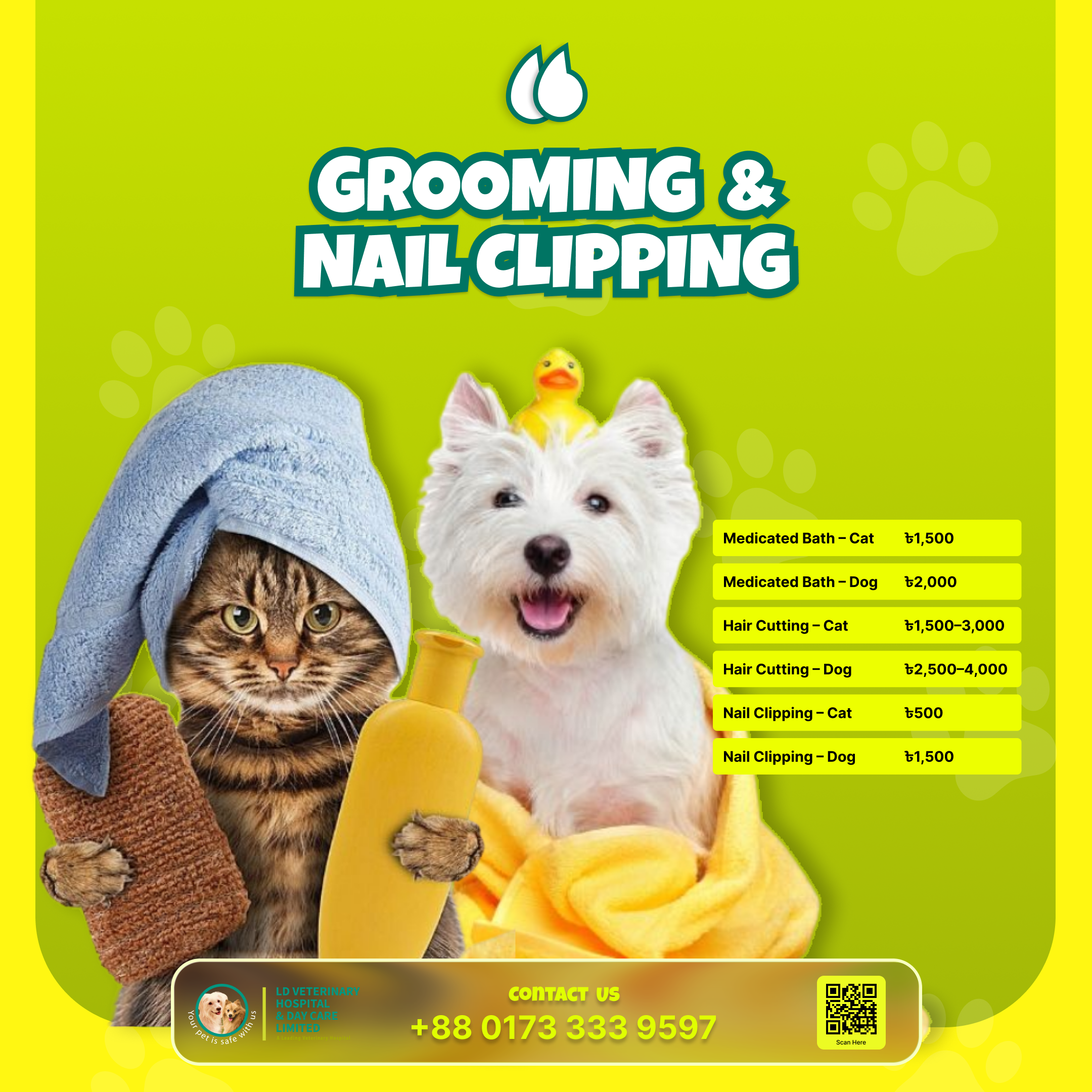 Pet Boarding, Daycare and Hotel Facilities-6