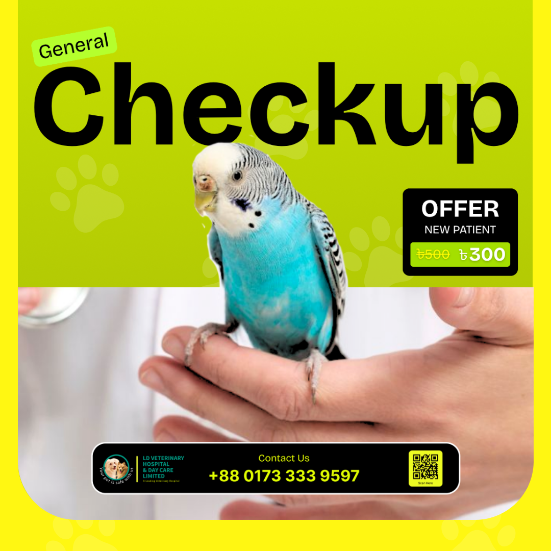 general checkup cat-1