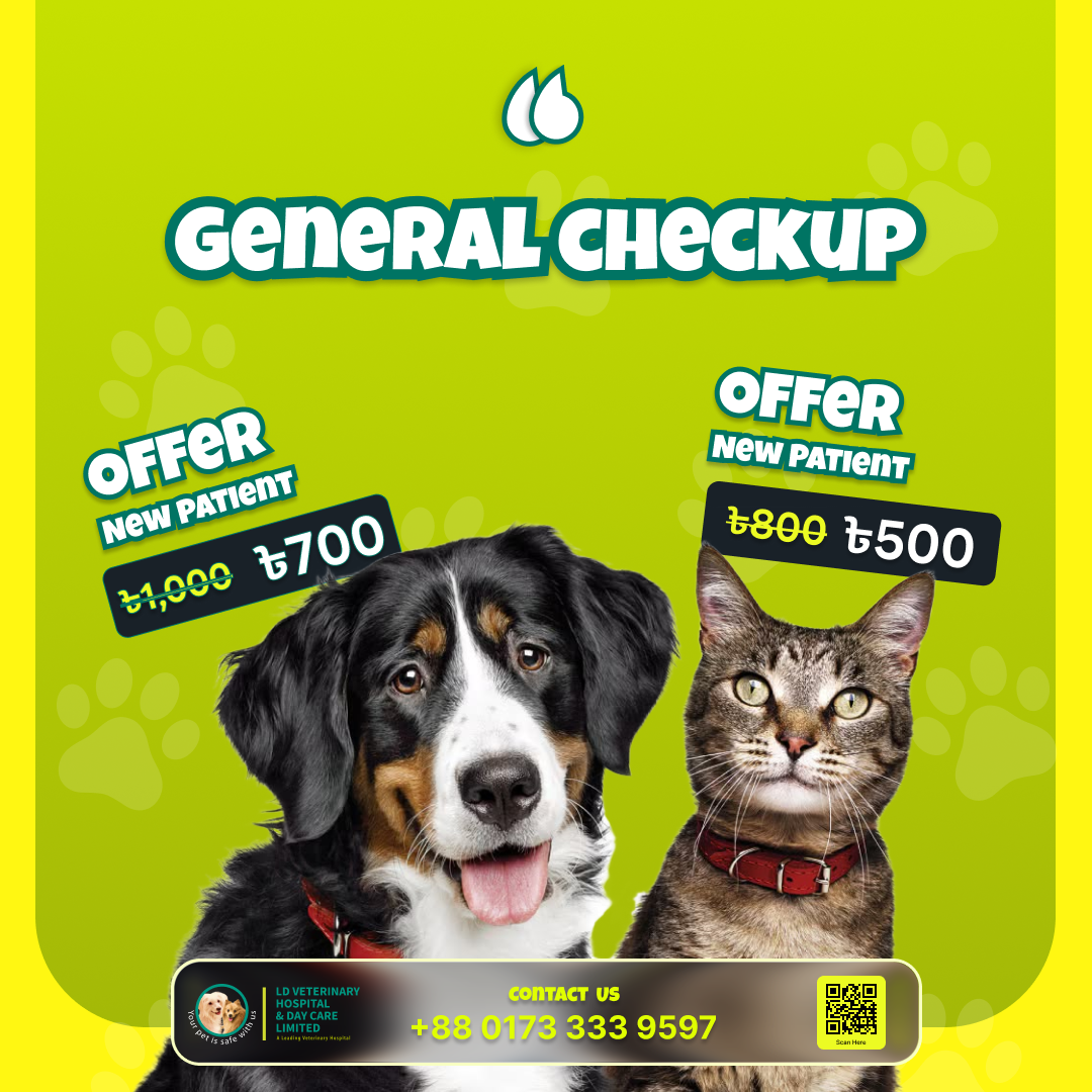 general checkup cat (1)