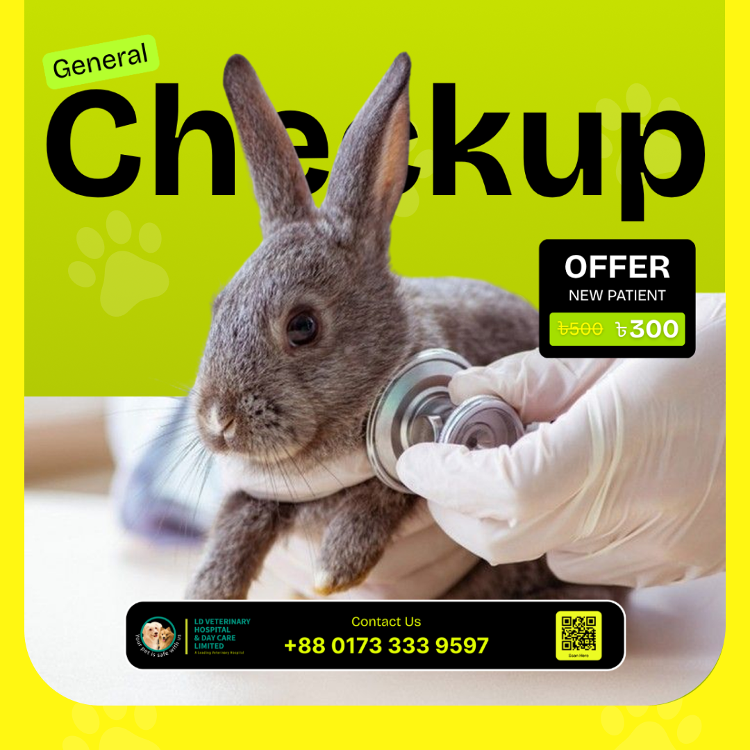 general checkup cat